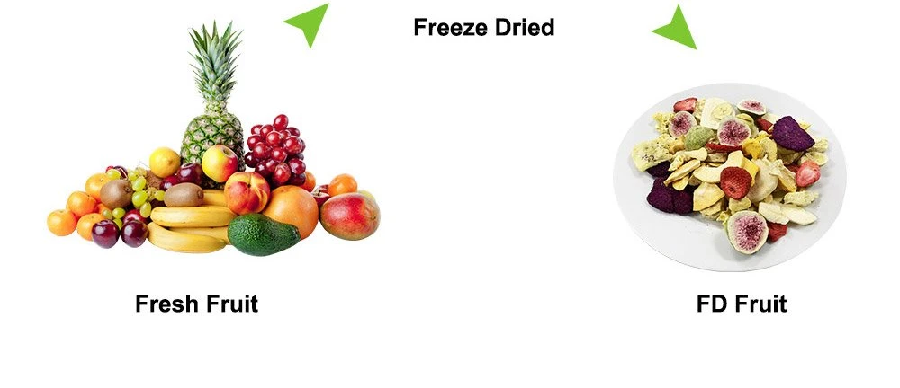 freeze dried cantaloupe Pricelist freeze dried cantaloupe Pricelist